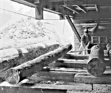 1991 Worker Loading Logs Tardif Sawmill Fort Kent Maine Poster Photo 24x36 picture