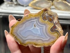 Coyamito Agate Nodule | Rare Banded Chihuahua Mexico Collector Specimen picture