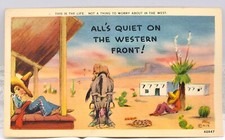 Vintage Humorous Postcard This is the Life ... All’s Quiet on the Western Front picture