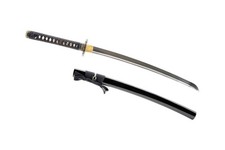 Turtle Katana Iaito Aluminum Alloy Unsharpened Iaido Training Sword picture