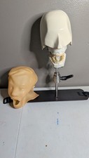 Vintage Child pediatric dental phantom manikin head Display - Metal Shroud  picture