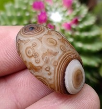 GOBI EYE AGATE, DRAMATIC MULTI-EYE GOBI DESERT AGATE 17G picture