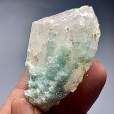 310 CT Terminated Natural Tourmaline Crystals Bunch with Quartz From Afghanistan picture