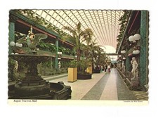 Kapok Tree Inn Mall vintage postcard unposted picture