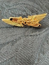 Vintage Erco Ercouple Owners Club Gold-Tone Lapel Pin (Wings) picture
