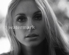 Sharon Tate Vintage 1960s Hollywood Actress  8x10 Publicity Photo Celebrity picture