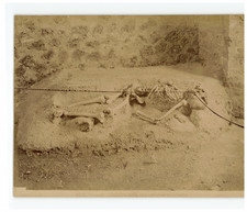 Italy, Pompeii, skeleton at the foot of Vesuvius Original albumen vintage print. Na picture