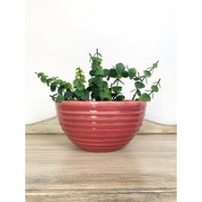 Vintage Ceramic Mixing Bowl Ribbed Pottery Dusty Rose Pink Farmhouse Cottagecore picture