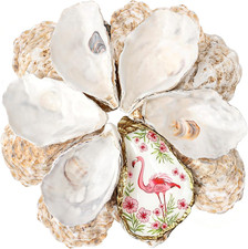 30Pcs 5-6 Inch Concave Large Oyster Shells for Crafts picture