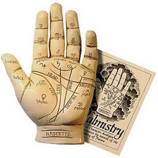 Palmistry Hand Model Resin Sculpture Fortune Telling Palm Reading with Booklet picture