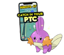 Pokemon Shiny Mudkip Catch in your P T C picture