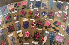 Huge~Lot of 50~Gold Back Roses & Flowers~Vintage~Floral Greetings~Postcards~s611 picture