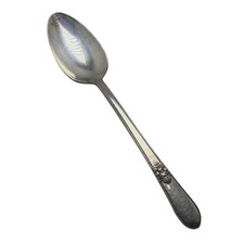 Adoration (Silverplate) International Silver 1847 Roger Bros Teaspoon 6-1/8