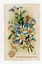 1880s-90s Arm & Hammer Beautiful Flowers Star of Bethlehem Trade Card F210 picture
