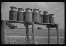 Photo:Milk cans along the road near Greensboro, Alabama picture
