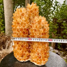 28.5LB New find yellow phantom quartz crystal cluster mineral sample picture