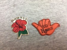 Vintage Hawaii Souvenir Refrigerator Magnets Lot of 2 picture