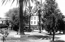 RPPC Park in Healdsburg CA c1926 Kodak Real Photo Postcard Palm Trees Cars picture
