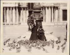 Italia, Venice, San Marco, Women Feeding Pigeons Vintage Albumen Print Print Print  picture