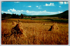 c1960s After The Harvest Hay Field Farm Plains Valley Postcard Lot of 100 picture