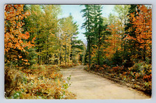 Vintage Postcard Bracebridge Ontario Canada picture