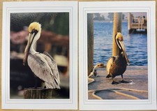 Pelican Prints Sanibel Island #407-9 / 416-2 Matte Finish 6” X 4” Near Mint picture