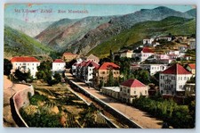 Beqaa Governorate Lebanon Postcard Mount Liban Zahle Rue Muntazah c1910 picture