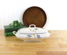11'' Ironstone Bluebird China Covered Serving Dish | Carrollton Homer Laughlin picture