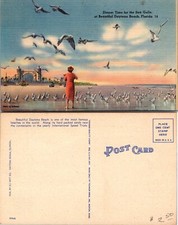 Dinner Time for the Sea Gulls Daytona Beach Florida Postcard picture