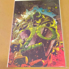 THE IMMORTAL HULK #1 VIRGIN VARIANT 1:200 RATIO COVER BY MIKE DIODATO picture