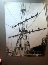 Old Photo Sailing Ship Antique Navy Cruiser Seamen on Yardarm RJ Waters S F picture