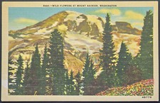 Wild Flowers at Mount Rainier Washington Linen Postcard C.P. Johnston Co 1940s picture