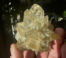 Gypsum Var. Selenite Red River Floodway Winnipeg Canada picture