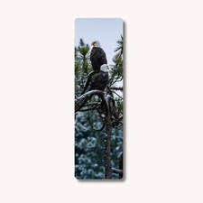 Bookmark for Books, Eagles Wildlife Photography, Gift for Bookworms, Laminated picture