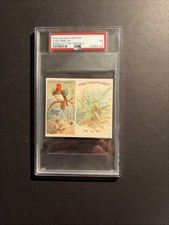 1889 N38 Birds Tropics King Bird Of Paradise picture