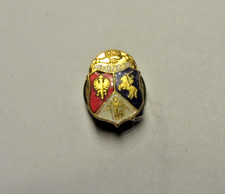 Vintage 1880 PNA Polish National Alliance Enamel Crest Lapel Pin picture