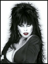 Cassandra Peterson Beautiful Pencil Painting 8x10 Picture Celebrity Print picture