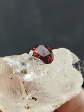 Red Garnet on Quartz Gemmy Spessartine Garnet mineral on quartz Crystal Specimen picture