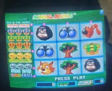 Cherry master Animal Bonus By Amcoe picture
