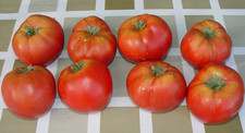 RARE VTG 8 Handcrafted Tomato Wooden Primitive Country Realistic Set Prop Decor picture