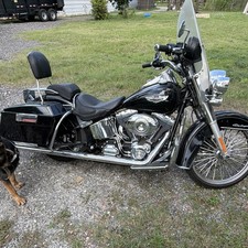 2010 Harley Davidson Soft Tail Deluxe picture
