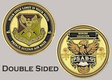 378th Air Expeditionary Wing Prince Sultan Air Base Challenge Coin  J#33 picture