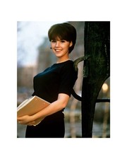 Dianne Chandler 1970s Playboy Model 8x10 Glossy Photo picture
