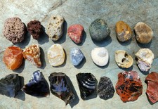 Lot of 21 Unique Oregon Coast Rocks / Agates / Jasper / Fossils / Pet Wood picture