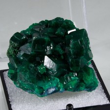 Fantastic DIOPTASE w/ MALACHITE & SHATTUCKITE - Democratic Republic of Congo picture