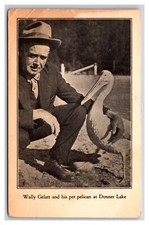 Wally Gelatt and His Pet Pelican Donner Lake Nevada NV UNP DB Postcard V4 picture
