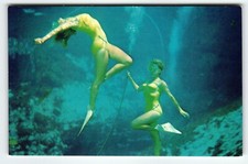 Weeki Wachee Mermaid Florida Vintage Postcard 2 Women Perform Underwater Chrome picture