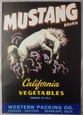 Original 1920s Mustang vegetable fruit label California picture