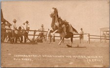 Leonard Strouk Cowboy Trick Rider RPPC Postcard - Wild West Rodeo Horse picture