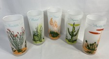 Vintage Blakely Oil 1950'S Arizona Saguaro Cactus Frosted Glass Tumbler Set of 5 picture